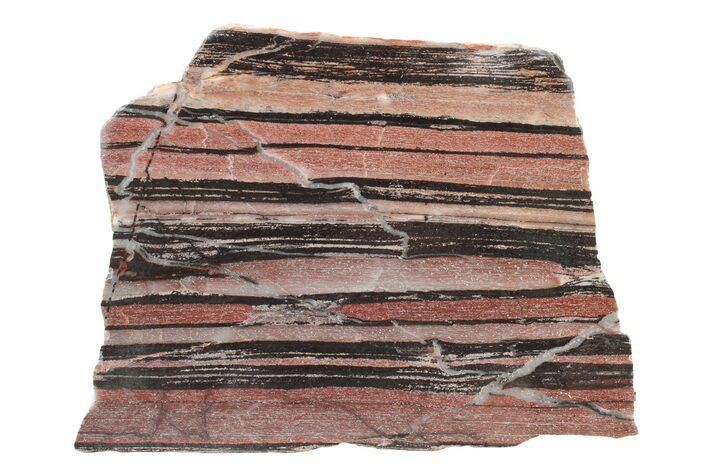 Polished Banded Pinyalling Jasper Slab - Western Australia #240150
